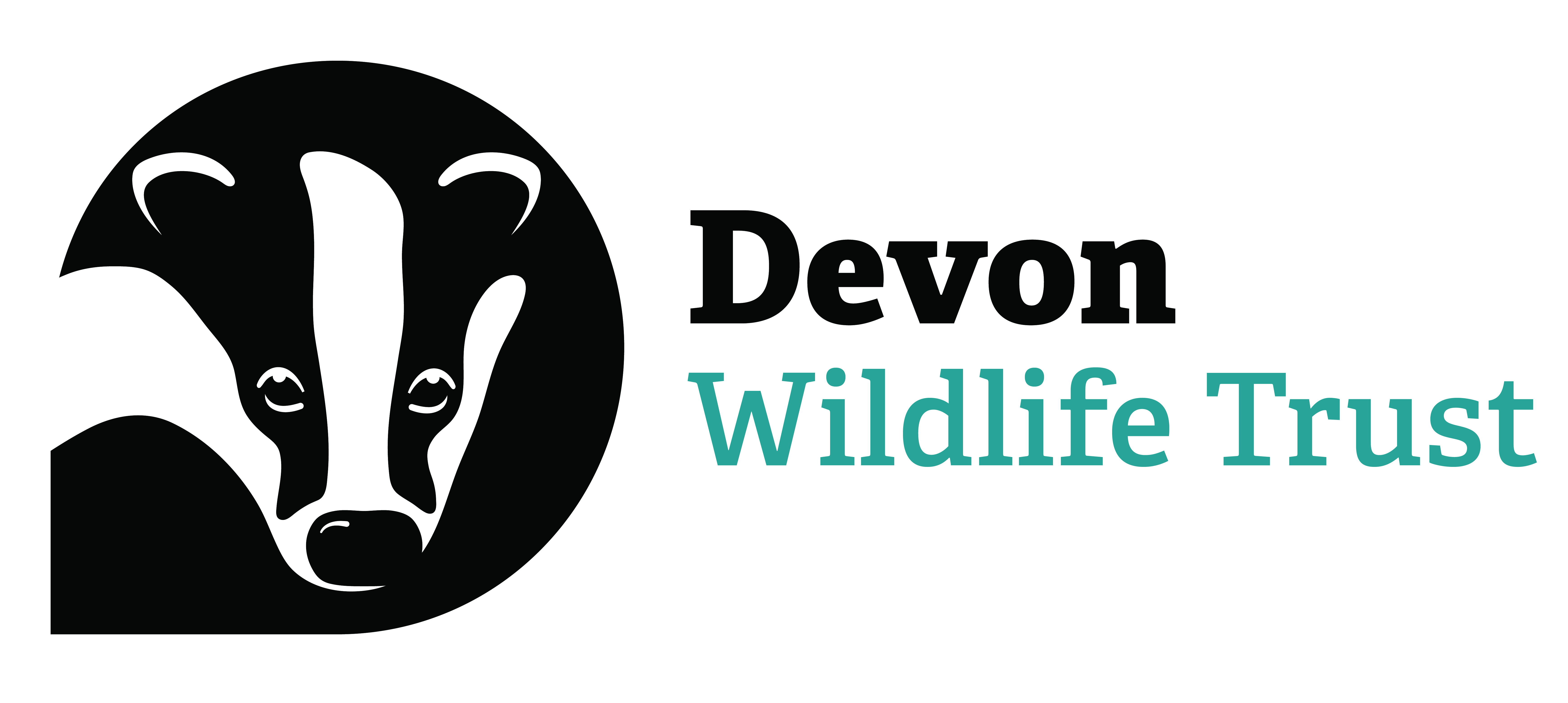 Logo for Devon Wildlife Trust